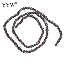 Natural Freshwater Pearl Loose Beads black 2-3mm Approx 0.8mm Sold Per Approx 15 Inch Strand 2024 - buy cheap