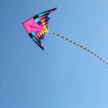 free shipping high quality large rainbow delta kite fabric kite bar line ripstop nylon kite bird windsock kites for adults quad 2024 - buy cheap