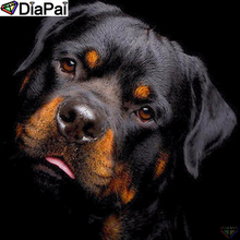 DiaPai 5D DIY Pintura 100% Praça Cheia de Diamante/Broca Redonda "Animal cão" Diamante Bordado Ponto Cruz 3D decor A22088 2024 - compre barato