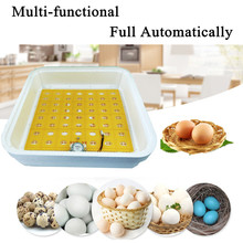 Automatic Egg Hatcher Machine 55 Eggs Incubator Fully LED Turner Chicken Duck Digital Display Smart  Sensitive US/EU Plug 2024 - buy cheap