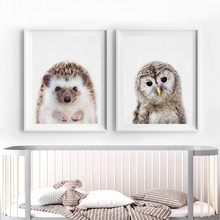 Cute Hedgehog Owl Animals Canvas Paintings Pictures Nordic Pop Nursery Wall Art Poster Print Kids Room Home Decor Drop shipping 2024 - buy cheap