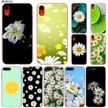 Цветы, маргаритки, растения, лимон горячий модный прозрачный жесткий чехол для телефона iPhone X XS Max XR 8 7 6 6s Plus 5 SE 5C 4 4S 2024 - купить недорого