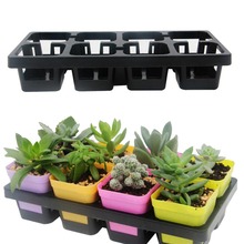 8 Cells Grid Succulant Planter Plastic Flowerpot Plant Pot Seed Tray for Cactus Succulant Bean Sprouts Seedlings Small Flowers 2024 - buy cheap