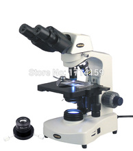 AmScope-microscopio LED Darkfield 40X-2000X, 3W, Siedentopf, Biologocal, Binocular, microscopio de 2024 - compra barato