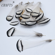 New!  20 high-quality golden pheasant feathers, 2-3 "/ 5-8cm DIY jewelry decoration 2024 - buy cheap