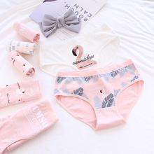 New 4pcs Teenage Flamingos Underpants Young Girl Briefs Comfortable Cotton Panties Kids Underwear B807 2024 - купить недорого