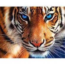 5D DIY diamond painting blue eye tiger full square / round diamond embroidery cross stitch embroidery mosaic decoration ZH 2024 - buy cheap