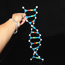 wholesale 20sets DNA model kit biological molecular double helix Molecular Structure models Deoxyribonucleic acid teaching aids 2024 - buy cheap