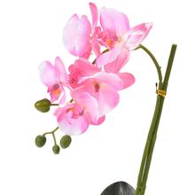 Simulação de flores artificiais de phalaenopsis, flores de orquídea, faça você mesmo, decoração para casa, casamento 2024 - compre barato