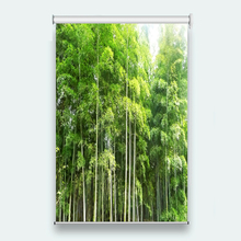 Persianas enrollables 3d de bosque de bambú, cortinas de rodillo estereoscópico para cualquier ventana personalizada, para sala de estar y baño 2024 - compra barato