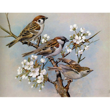 Full Square/Round drill Diamond painting 5D DIY Diamond embroidery Cross stitch 3 birds on tree Diamond mosaic Rhinestone A621 2024 - buy cheap