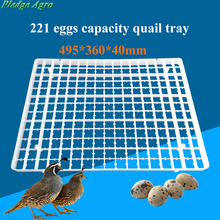 1pcs Egg Tray For Incubator Automatic Goose Pigeons Duck Quail Egg China Incubadora Parts Poultry Farming Accessories Supplies 2024 - buy cheap