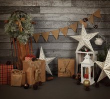 Rustic Wood Christmas Winter Star flag gift backdrop  High quality Computer print children kids backgrounds 2024 - buy cheap