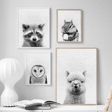 Guaxinim alpaca coruja esquilo animais arte da parede pintura em tela nordic posters e impressões fotos de parede para sala estar decoração casa 2024 - compre barato