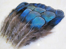 wholesale 50pcs 4-8cm blue color real natural lady amherst's pheasant plumes craft feathers for jewelry making 2024 - buy cheap