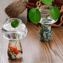 Vaso de vidro transparente para decorações de plantas, vaso de flores, cogumelo 2024 - compre barato