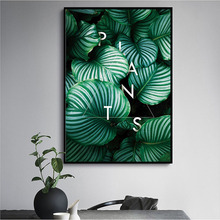 Nordic minimalista tropical verde plantas arte da parede quadros em tela natural posters sobre tela sala de estar decoração casa 2024 - compre barato