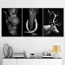Pintura de tela cavalo branco e preto, lindo elefante, arte de parede, pôsteres nórdicos e impressões, imagem de parede para sala de estar, decoração de casa 2024 - compre barato