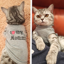 Roupas fofas para gatos, coletes de primavera e verão para animais de estimação, fashion, casaco para gato, roupas engraçadas, traje com estampa de colete 2024 - compre barato