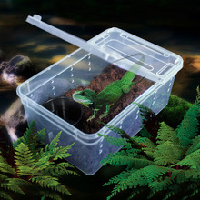 Caja de plástico transparente para transporte de reptil, caja de alimentación de alimentos vivos, nueva 2024 - compra barato