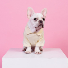 Polo de algodón para perros pequeños, ropa para cachorros de Bulldog Francés, chaqueta para Chihuahua, disfraz para gato, XXL 2024 - compra barato