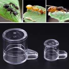 Ant Feeder Water Feed Area For Ant Nest House Farm Acrylic Round Drinking Bowl 2024 - buy cheap