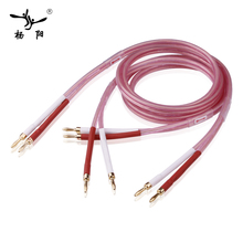 HIFI Speaker Cable High-end OFC Speaker Jumper Cables Pure Copper Gold-plated Banana Jack Hifi Speaker Wire 2024 - buy cheap
