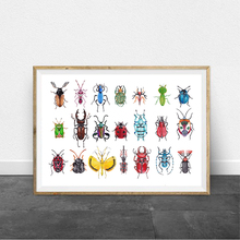 Beetles Collection Illustration Prints Nature Wall Art Poster Home Room Decor Watercolor Insect Art Canvas Painting Wall Picture 2024 - buy cheap