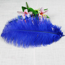 Wholesale free shipping high quality 20pcs natural blue ostrich feather 20-22inch / 50-55cm Variety of decorative 2024 - buy cheap