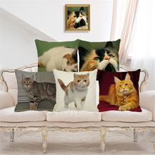 XUNYU Cute Pet Cat Cushion Cover 45X45cm Pillow Case Home Decorative Throw Pillowcase Cover for Sofa Car Cojines D0094 2024 - buy cheap