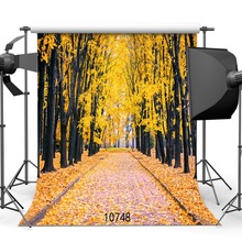 Autumn Scenic Garden Pathway Photo Background Customized Photography Backdrops For Photo Studio Children Baby Newborn Photocall 2024 - buy cheap