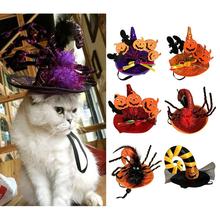 Wholesale  Halloween Pet Supplies Petfeature Dog Ornament Halloween Pet  Cat Spider Hat Pumpkin Wizard Transfomation Cap 2024 - buy cheap