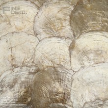hand made golden color natural capiz shell panel for interior wall or ceiling decoration 2024 - buy cheap
