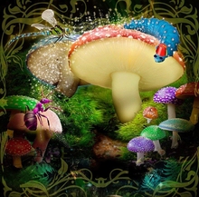 Alice Wonderland Bugs Mushroom Forest backdrops High quality Computer print children kids background 2024 - buy cheap