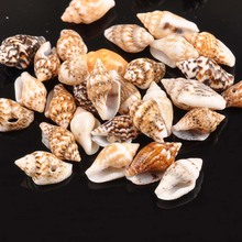 13-16mm 100pcs Ornaments One Hole Natural Mini Spiral Shells Crafts Handmade For DIY Home Decor Leopard Print Seashells TR0057 2024 - buy cheap