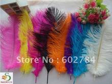 Free Shipping 100pcs/lot 12-14 inches 30-35cm mix 2 color ostrich drab feather ostrich plume 2024 - buy cheap