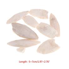 1 Bag Cuttlebone Cuttlefish Sepia Bone Cuttle Fish Bird Food Calcium Pickstone Pet 2024 - buy cheap