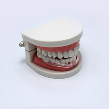Mouth Guard Stop Bruxism Orthodontic Molar Set Teeth Braces Smile Adult Food Grade Anti-wear Brace Teeth Bracket Ortodoncia 2024 - buy cheap