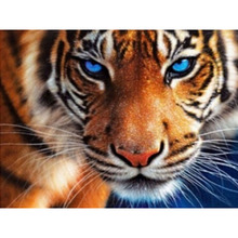 5D Diamond embroidery tiger diamond cross stitch square diamond painting diy diamond painting animal zx 2024 - buy cheap