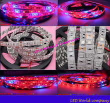DC12V Growing LED Strip 5050 IP20 IP65 Growlight Red Blue 4:1,5:1,7:1,8:1 for greenhouse Hydroponic plant,5m/lot 2024 - buy cheap