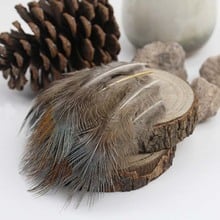 100PCS/Pack 5-10cm Natural Pheasant Feather DIY Wind Bell Parts Decor Beautiful Wedding Party Decoration Feathers Supplies 2024 - buy cheap