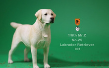 In Stock Collectible 1/6th Mr.z NO.25 Labrador Retriever Dog Model Toys 001/002/003/004 for 1/6 Action Figure Scene Accessory 2024 - buy cheap
