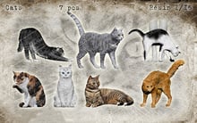 1/16 Scale Assembly Resin Figure kit  Cats 7 pcs 2024 - buy cheap