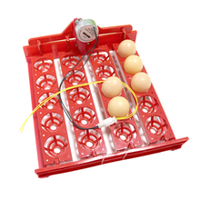 20 Eggs Turn Tray Incubator Chickens Ducks And Other Poultry Incubation Equipment 110V / 220V 4 * 5 Holes Free Shipping 2024 - buy cheap