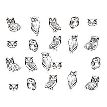 Fashion Black Owl Printing Nail Art Decals 1sheet  Water Transfer Stickers DIY Nails Tips Decorations Manicure Tools 2024 - buy cheap
