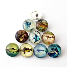 10pcs/lot cartoon insect fish Snap Buttons Charms 18mm Glass Buttons Fit DIY Snap Bracelets&bangle Decoration Jewelry 2024 - buy cheap