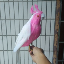 about 40cm simulation Cockatoo parrot ,plastic foam & feathers pink parrot model,prop,home Decoration Christmas gift w5583 2024 - buy cheap