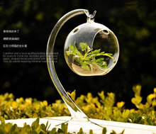 Novo vaso de flor de vidro hidropônico terrário garrafa castiçal-bola de suspensão 2024 - compre barato