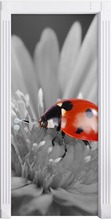 Creative Door Sticker Ladybug For Living Room Bedroom PVC Self Adhesive Wallpaper Waterproof Renew Mural Decal 2024 - buy cheap