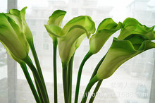 (36 шт.) 8 видов цветов! 63 см большие натуральные тач цветы Пикассо фиолетовые белые Калла Лилия Свадебные центральные декоративные цветы 2024 - купить недорого